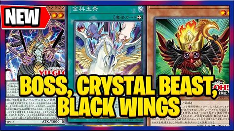 beast support yugioh|yu-gi-oh! beast archetypes.